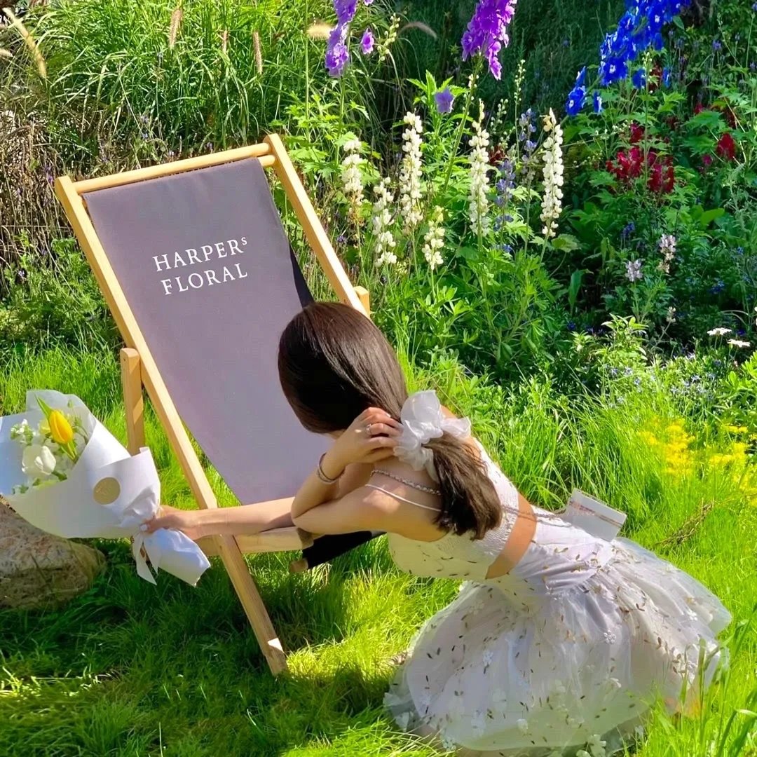 身为太子被陷害，我选择落草为寇